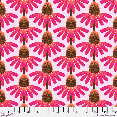 Anna Maria/ Echinacea -  ||Maraschino Love Always, AM Free Spirit by the yard